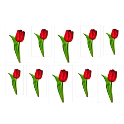 Naklejka na paznokcie - czerwony tulipan