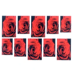 Naklejka na paznokcie - czerwona róża