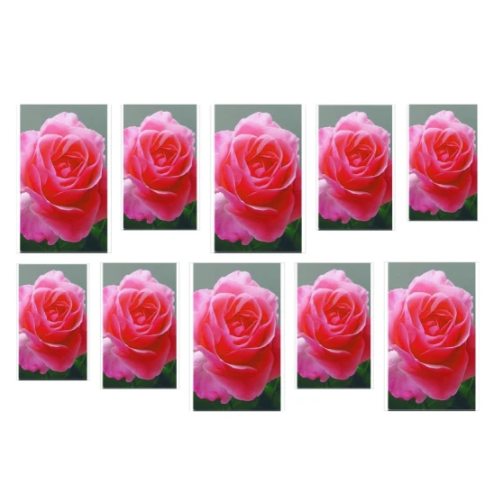 Naklejka na paznokcie - różowa róża