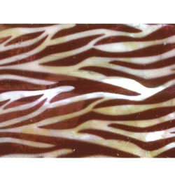 Taśma perlmutowa / muszlowa zebra