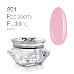 Żel do zdobień nr 201 Extreme Color Paint Gel Raspberry Pudding 5g