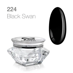 Żel do zdobień nr 224 Extreme Color Paint Gel Black Swan 5g