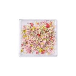 Suszone kwiatuszki do zdobienia paznokci Romantic Style Dried Flower Mix