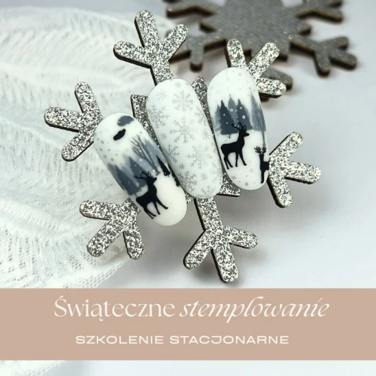 Szkolenie z zakresu nail art ŚWIĄTECZNE STEMPLOWANIE by Anna Chudzicka