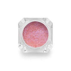 Pyłek do zdobienia paznokci Glass Powder Pink Unicorn 0,5g