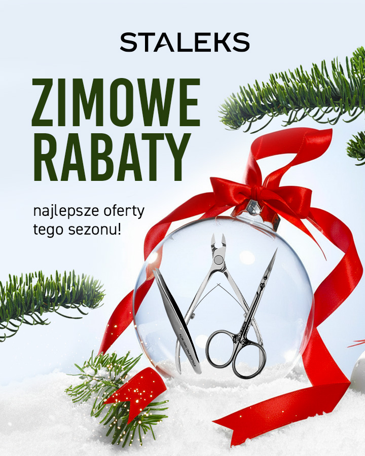 BANER - promocje zimowe staleks